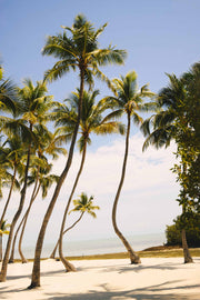 Latitudes