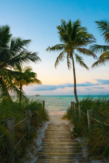 Escape To Summer