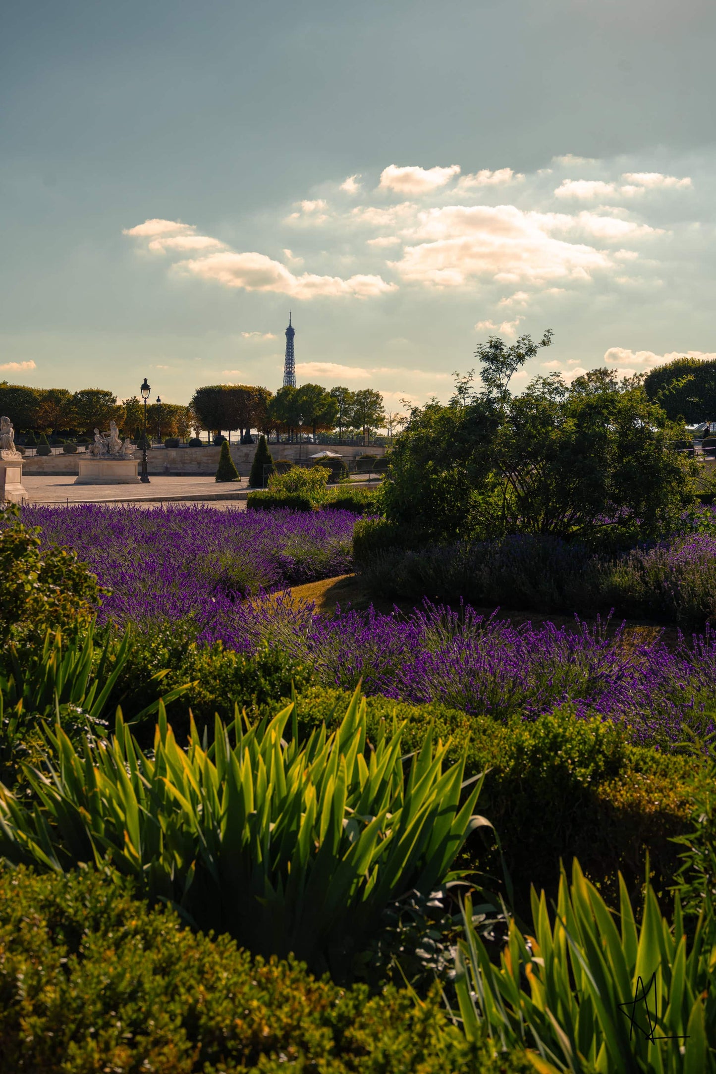 Wall Art Viewer Frames Render