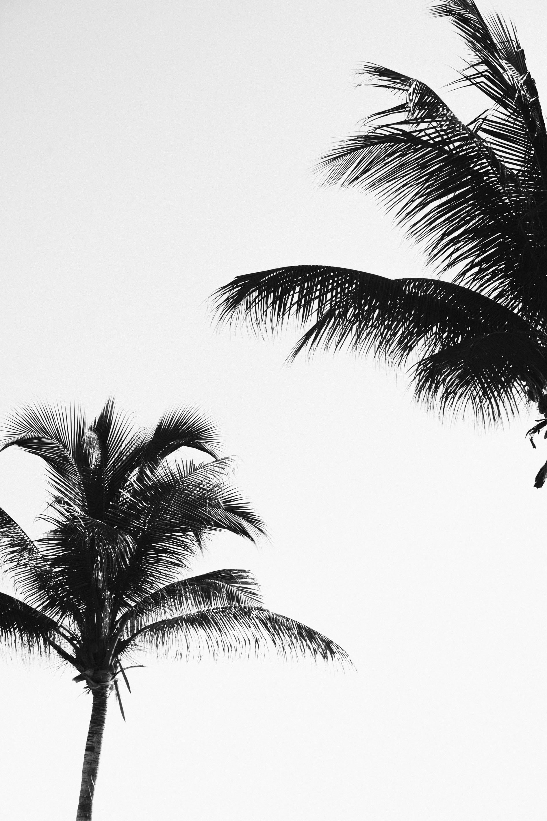 Paradise